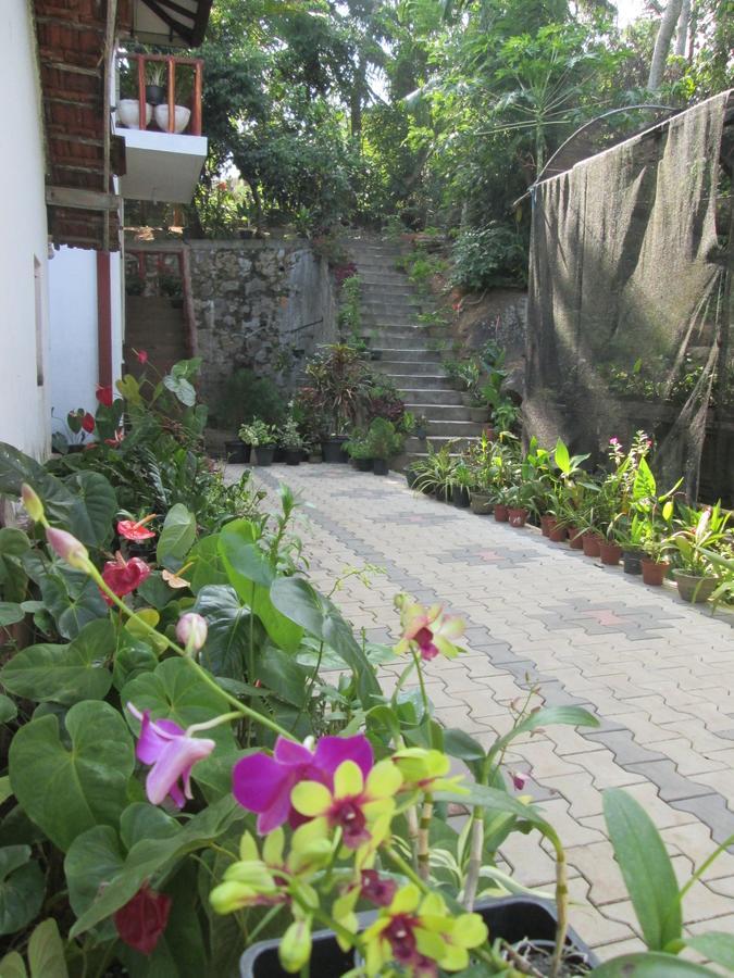 Ranga Villa Хиккадува Экстерьер фото